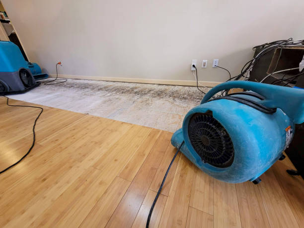 Professional Structural Drying technician working in Columbus, NC